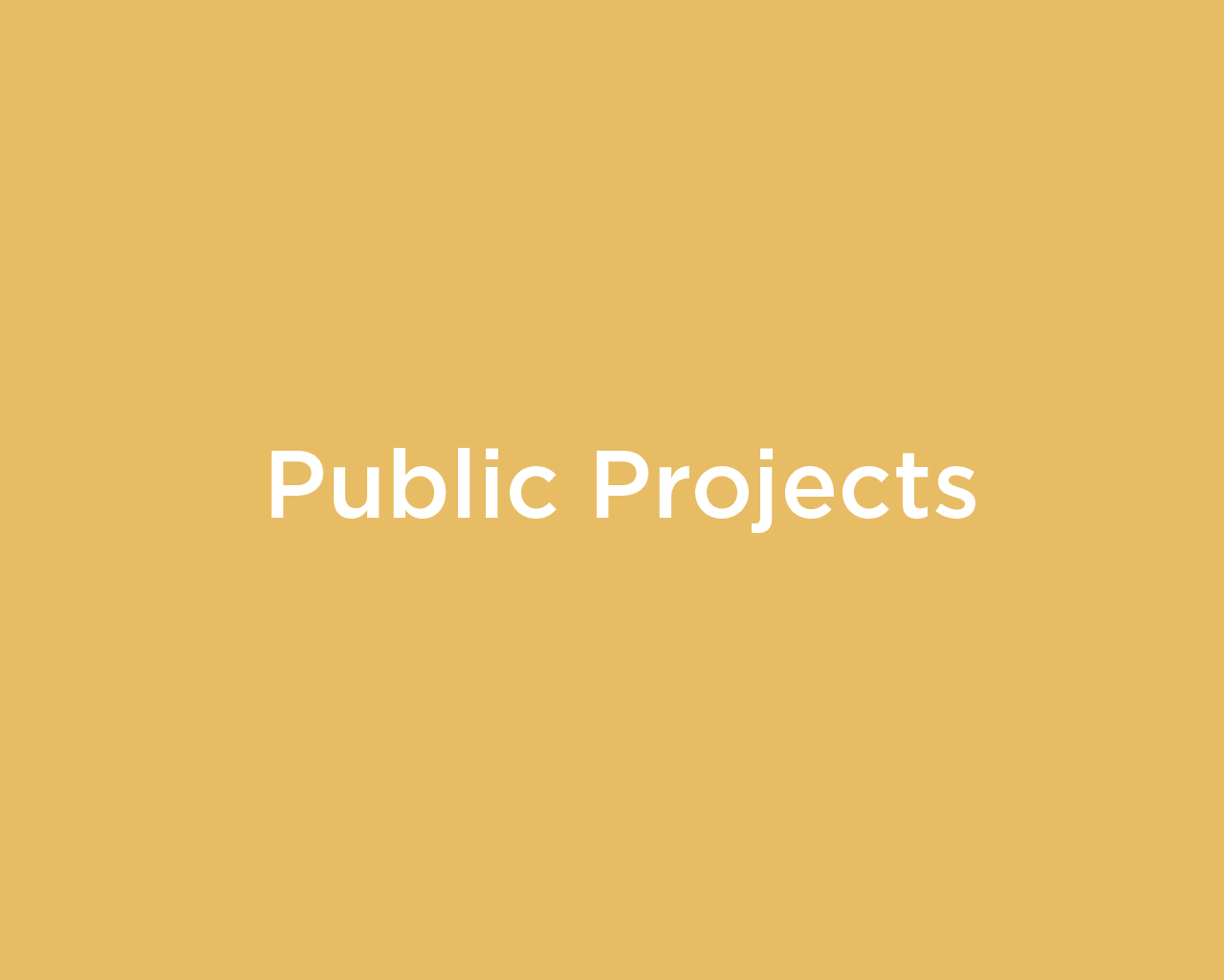 Public Projects